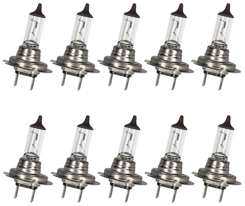 SAMETRUCK Glühlampe Glühbirne 12V 24V PKW LKW (24V H7 70W Glühlampe)
