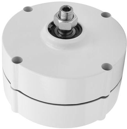 Generatore a Magneti Permanenti, Generatore AVAN‑400 W Elettrico Alternatore CA Trifase (Con raddrizzatore 48 V)