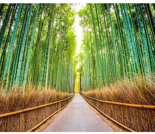 decomonkey - Papier Peint Panoramique Foret Nature 200x140 cm - Décoration murale – Tapisserie décorative pour chambre salon - Asie bambous routes arbres forêt feuilles nature paysage soleil