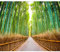 decomonkey - Papier Peint Panoramique Foret Nature 200x140 cm - Décoration murale – Tapisserie décorative pour chambre salon - Asie bambous routes arbres forêt feuilles nature paysage soleil