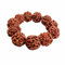 dailymall 20mm Rudraksha Perlen Tibetischen Buddhismus Gebet Amulett Armband Yoga