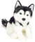 Teddy Hermann 91976 Husky Hund sitzend 30 cm, Kuscheltier, Plüschtier mit recycelter Füllung