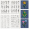 BENECREAT 4 Blatt 63 Stück Stick-And-Stick-Stickpapier, Stabilisator Zum Thema Geburtsmonat Blumenmotiv Wasserlöslich Handnähen Zum Schnitzen, Hemden, Mäntel, Taschen, Handtücher