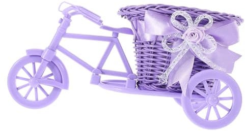 OFFSCH Cestino Rattan Forma Bicicletta Vaso Da Giardino in Rattan Fiori e Resistente Per Piante Finte Frutta e Articoli Decorazione Murale Per Patio Balcone Soggiorno e Giardino