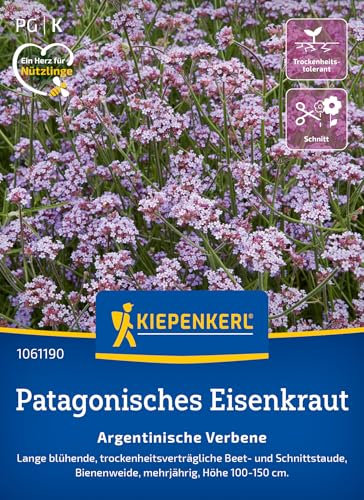 Kiepenkerl Patagonische Eisenkrautsamen Argentinische Verbene 1061190 - Beet- und Schnittstaude - Inhalt für 80 Pflanzen, Blumensamen, Saatgut, Pflanzen