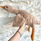 Tanha Gans Kuscheltier, Kuscheltier Gans, Kuscheltier Plushie, Kawaii Kuscheltier Plush, Ente Kuscheltier, Großes Gänse-Stofftier (Braun., 49cm)
