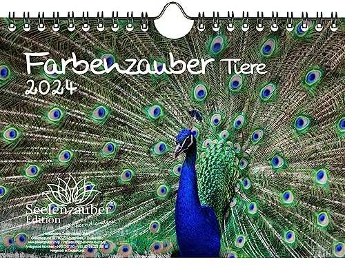 Farbenzauber Tiere DIN A5 Wandkalender für 2024 Farben Colours - Geschenkset Inhalt: 1x Kalender, 1x Weihnachtskarte (insgesamt 2 Teile)