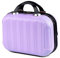 Balakaka Beauty Case da Viaggio Rigido 10L, 14 pollici Beauty Case Donna con Manico, Impermeabile ABS Trucchi Borsa per Cosmetici Può Essere Appeso ai Bagagli, Viola chiaro