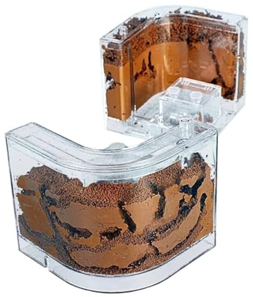 MOBAAK Ameisenfarm Ameisen Farm Ameisenburg Mit Lehm Und Sand Gefüllte Ameisenfarm, Ameisennest, Lebensraum, Professionelle Ameisennestfarm Ameisenfarm Erwachsener(2pcs)