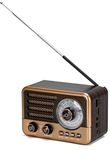 Radios Mains and Battery with AM FM SW Bands for Outdoor Hiking Travel | 3-Band Portable Radio,Bluetooth Connection,MP3 Player,USB TF Playback,LED Flashlight,Strong Reception,Good Sound Quality