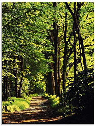 ARTland Wanddeko Glasbilder Wandbild Glas Bild einteilig 45x60 cm Hochformat Natur Wald Bäume Frühling Spaziergang Landschaft T1UC