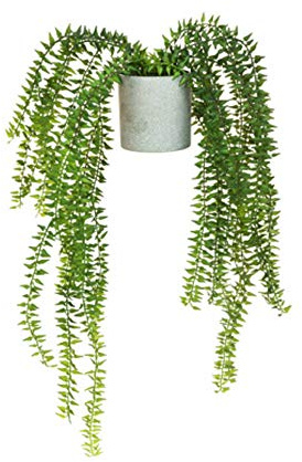 FloristryWarehouse Artificial Succulent Trailing Fern 45cm/17.5 Inches in a Grey Pot