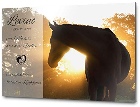 Pferdeschild Boxenschild mit Foto und Wunschtext | AluDidond Alu Verbundplatte | 30x20 cm | sofort personalisierbar | inkl. Brandzeichen & Motiven