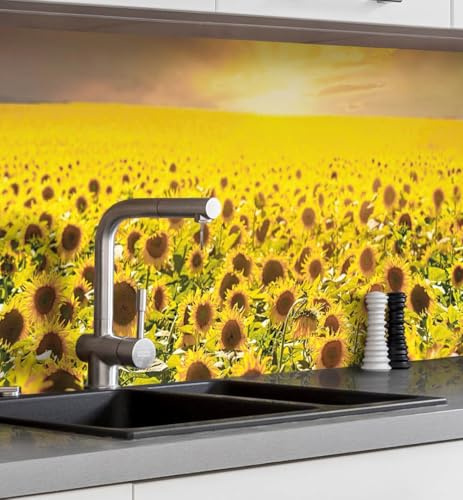 MyMaxxi Küchenrückwand selbstklebend – matte, 0,4 mm Premium Spritzschutz Folie als günstige Alternative zu Glas, einfache Montage & leichte Reinigung – Motiv: Feld aus Sonnenblumen B 120 cm x H 60 cm