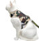 Yizhi Miaow Katzengeschirr und Leine, Set zum Spazierengehen, ausbruchsicher, verstellbares Katzengeschirr, gepolstert, stilvolle Katzen-Wanderjacken, Camouflage-Grün, Größe XL
