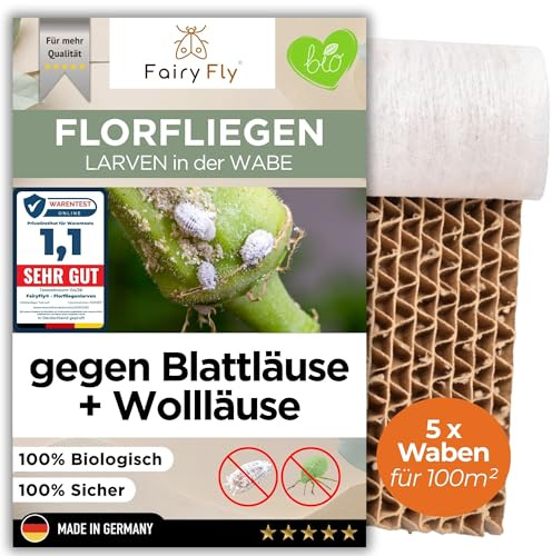 FairyFly® Florfliegenlarven gegen Blattläuse & Wollläuse – 5 Waben für 100 m² – bis 2500 Larven Nützlinge zum Streuen für Gemüse-, Cannab.-, Zier & Zimmerpflanzen - Starke Wirkung gegen Befall