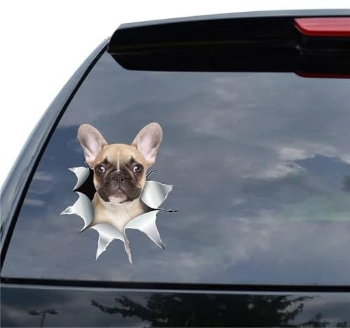 Design Your Own Car Decals, Custom Vinyl Car Window Sticker, Personalized Dog Cat Pet Realistic Clings - Fade Resistant & Weatherproof - 7 Sizes