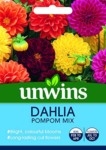 Unwins 30710018 Dahlia Pompom Mix Seeds, Clear