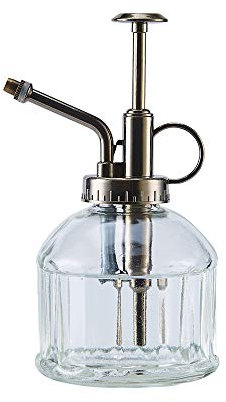 Ebristar Glass Plant Mister Spray Bottle, 6.5 Tall Vintage Plant Water Spritzer Sprayer, Succulent Watering Bottle with Top Pump, Small Glass Watering Can for Indoor Outdoor Houseplant - Clear