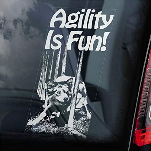 Agility is Fun! Auto-Aufkleber Hund an Bord, Border Collie, Auto-Aufkleber, Vinyl-Aufkleber, Fensteraufkleber, Stoßstangenaufkleber, gestanzte Aufkleber