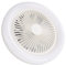 Mini Ventilador de Techo con luz, Ventilador de Techo para Garaje, Ventilador de Enchufe luz de Ventilador de Techo de 36 W Lámpara de Ventilador LED E27 Pequeña Silenciosa de 9,8 Pulgadas
