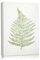 Oairse White Wall Art Décor Nature Fern Plant Metal Wall Art Minimalist Wall Art Rustic Nature Painting Wall Decor for Home Living Farmhouse Decoration
