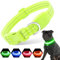 PZRLit Leuchthalsband Hund Aufladbar, Hundehalsband Leuchtend für Klein Mittel große Hunde, Einstellbar LED Halsband für Hunde für Nacht Sicherheit (Grün, Klein)