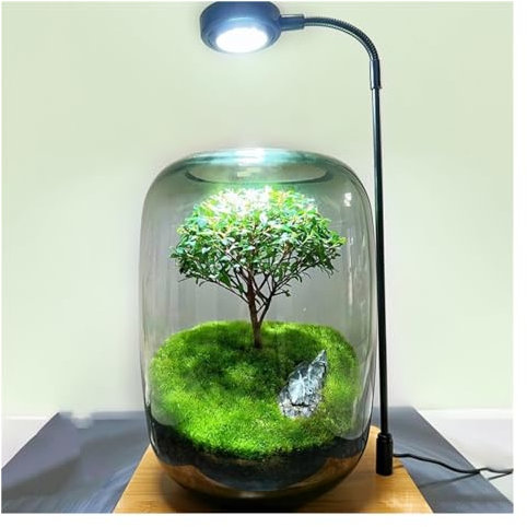 Albero della Vita Pianta Ornamentale Contenitore di vetro LED Set di luce di crescita, con supporto in metallo Base di legno, possibilità di collegare piante artificiali, Adatto per camera da letto, s