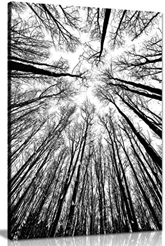 Black and White Trees Framed Canvas Wall Art, Nature Forest Print 30x20in | Landscape Pictures for Living Room Bedroom Hallway Office Decor, Ready to Hang on Solid Pine Frame, UV-Resistant Inks