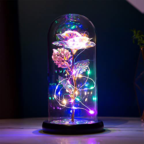 Sheepping Ewige Rose im Glas mit Lichter, Kristallrose Blumen Geschenk für Hauptdekor Geburtstag Hochzeit Valentinstag Jubiläum Weihnachten Muttertagsgeschenk