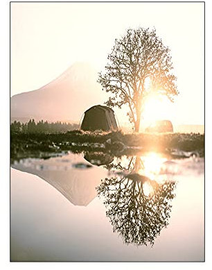 ABCWARRT Nordic Landschaft Natur See Schilf Pflanze Bild Wandkunst Leinwand Malerei Baum Sonnenlicht Heu Poster Dekoration Bilder (20 * 30cm Kein Rahmen,3)