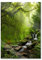 Pixxprint Glasbild, Wandbild aus Echtglas, Kleinder Wasserfall im Dschungel, 40x60 cm, inkl. Aufhängung und Abstandshalter