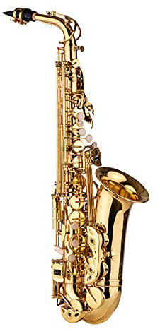 Altsaxophon Messing lackiertes Blasinstrument mit Tragetasche, Handschuhen, Gurten, Reinigungstuch und Bürste