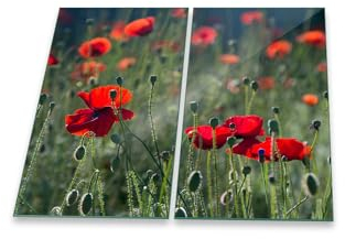 decorwelt | Herdabdeckplatten 2x30x52 cm Ceranfeldabdeckung 2-Teilig Universal Elektroherd Induktion für Kochplatten Herdschutz Deko Schneidebrett Sicherheitsglas Spritzschutz Glas Blumen Rot