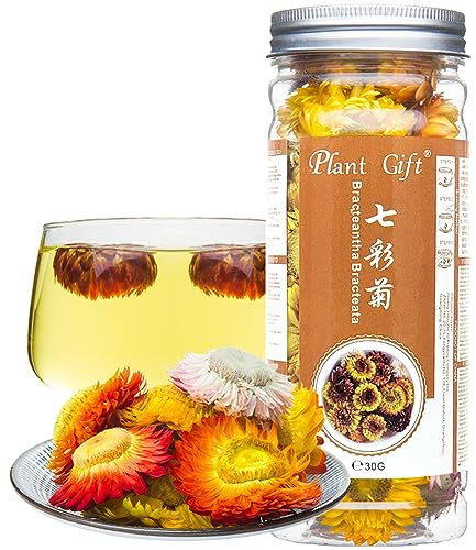 Plant Gift Bracteantha Bracteata Flower ( Chrysanthèmes colorés ) Thé de chrysanthème coloré Vue du foie Soins de la peau Beauté Anti fatigue Perdre du poids 30g / 1.05z