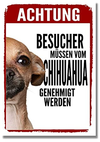 Chihuahua 1 Genehmigung Dog Schild Spruch Türschild Hundeschild Warnschild Geschenkidee Sicherheitsschild Hund Privatgrundstück Hundewarnung Warnung vor dem Hund