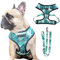 HDKUW Hundegeschirr und Leine Set, Verstellbare Hundeweste Geschirr Set, Outdoor Walking Weste Geschirr für Französische Bulldogge und Welpe Kleine Mittlere Große Hund L