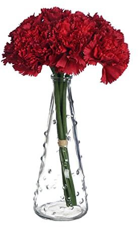 huaao Künstlichen Nelke Blume Realistische Fake Seide Blumensträuße mit 6 Stielen, 26 cm Mini Nelkenbusch, Pflanzen Dekoration für Foto Requisiten, Party, Braut, Hochzeitsstrauß Vasen Home, Rot