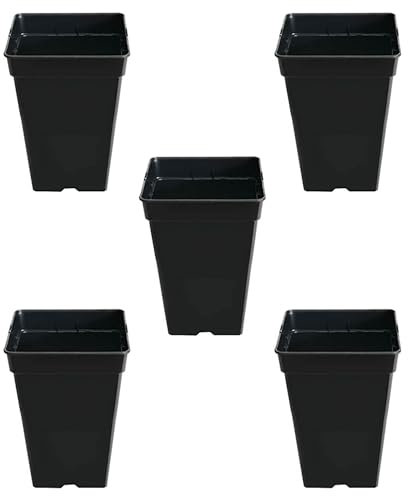 GROWMANIA Pack 5 Macetas Cuadradas para Plantas Negra 5,5L - Cinco Macetero Plástico para Flores 18x18x25 cm
