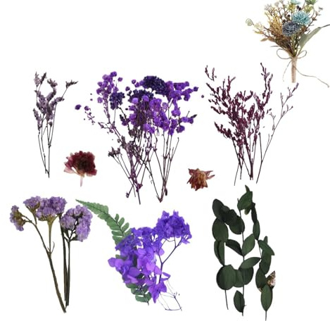 Fiori secchi colorati | Bouquet floreale secco,Forniture floreali per matrimoni per biglietti,album di ritagli, ornamenti in resina, decorazione di opere d'arte in vetro, camera da letto, decorazione