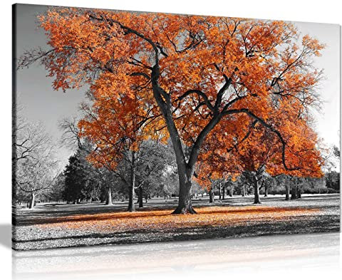 Large Tree Orange Leaves Black White Nature Canvas Wall Art Picture Print Home Decor 46x31 cm (18x12in)