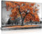 Large Tree Orange Leaves Black White Nature Canvas Wall Art Picture Print Home Decor 46x31 cm (18x12in)
