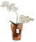 Pot de fleurs, en verre, pour orchidées, pot d'orchidée, 15,5 cm H 18 cm, orange, structure en toile de fissure et d'araignée, grand, avec gestion de l'eau de régulation de la pièce, vase moderne pour