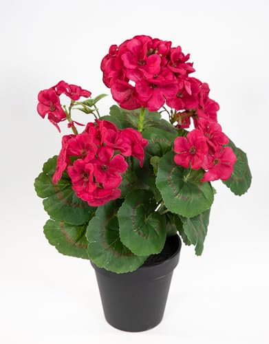 Seidenblumen Roß Künstliche Geranie im Topf 34cm LM Kunstblumen künstliche Pelargonium Blumen Pflanzen (Fuchsia-Pink - 34cm)