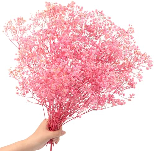 40cm Schleierkraut getrocknet 70g 2000+Natürlich Gypsophila Trockenblumen Blütenknospe Echt Trockenblumenstrauß für Hochzeit Brautsträuße Vasen Pampasgras Deko(Pink)