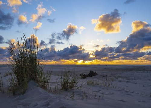 Rasch Tapete 364699 - Fototapete auf Vlies mit Strand und Sonnenuntergang in Blau und Beige aus der Kollektion Magicwalls - 2,65 m x 3,71 m (LxB)