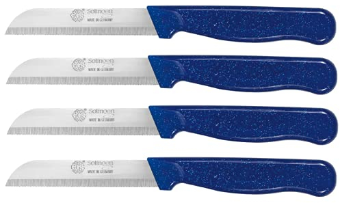 GGS Solingen Knife, Vegetable Knife Set, Fruit Knife, Tomato Knife, Steak Knives, Serrated, Dishwasher Safe, German Stainless Steel, Chef Kitchen Knife Set (Blue Set of 4)