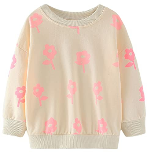 TEDD Girls Sweatshirt for Kids Cotton Top Casual Jumper Girl T Shirt Toddler Clothes Long Sleeve Pullover Winter Spring Age 3-4 Years
