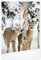 Rehe im Winterwald Poster von Michael Interisano 20 x 30 cm Wandbilder Wanddeko