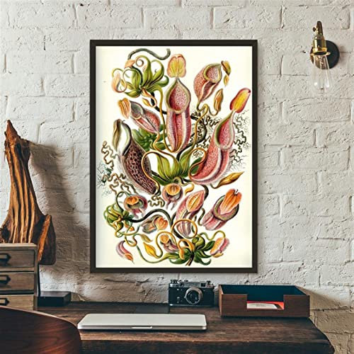 Canvas Painting Carnivorous Plant Poster and Print Nepenthaceae Tropical Pitcher Plants Modern Wall Picture for Home Office Decoration Frameless (Color : Multicolor, Size (Inch) : 50x70cm no Frame)